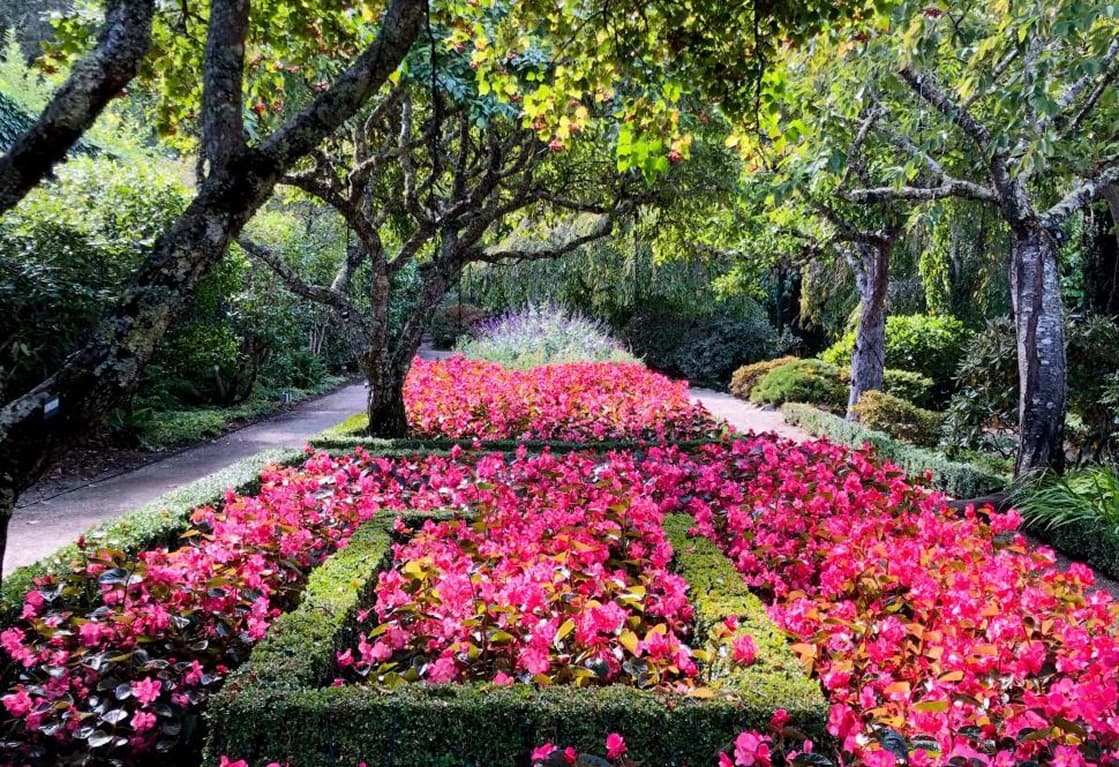 Rose Pointe Garden Path