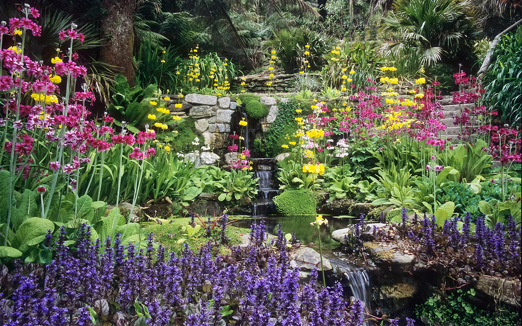 Garden Design
